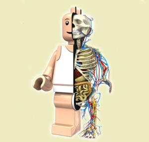 legoskele.jpg